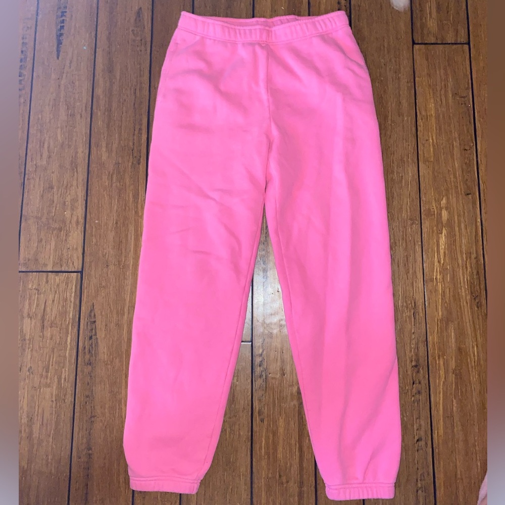Aritzia TNA sweatpants